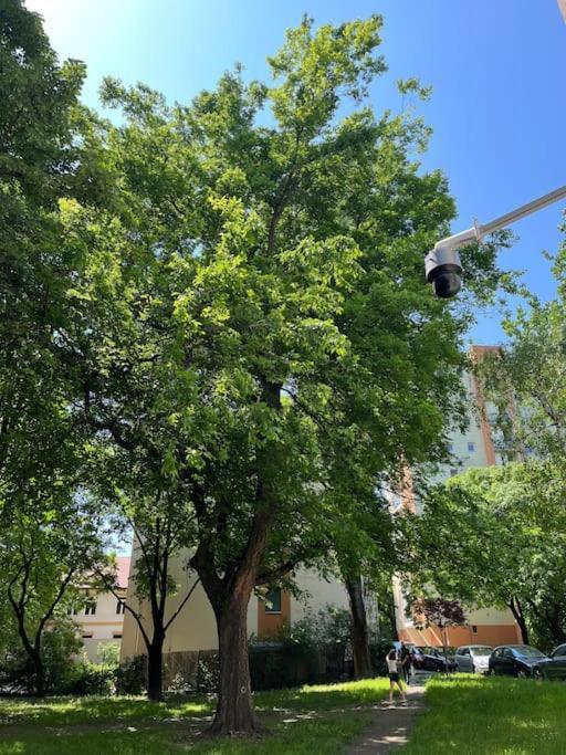 City Park Little Flat. Budapeszt Zewnętrze zdjęcie